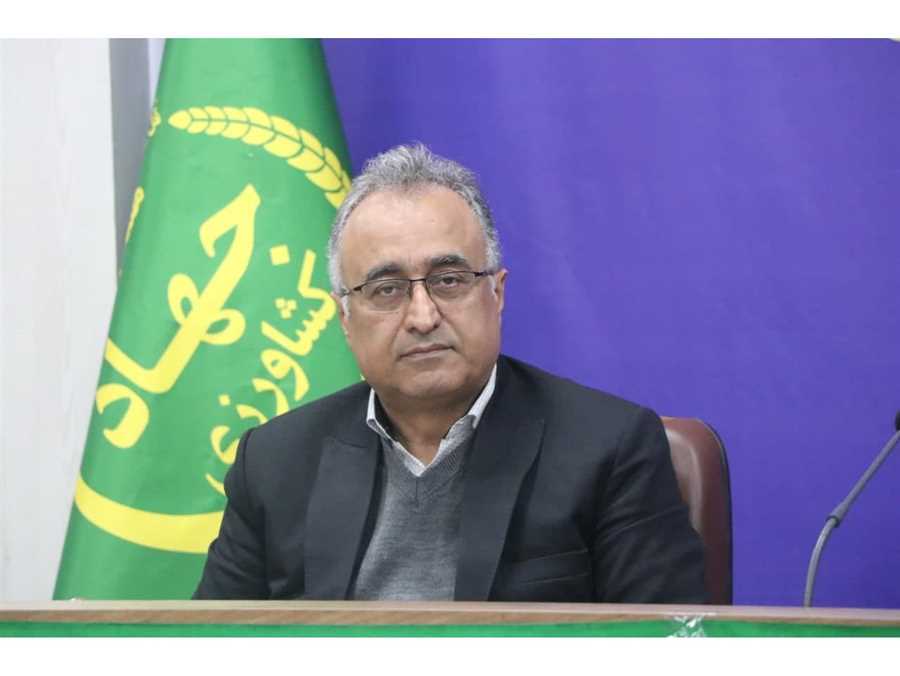 بیمه، ناجی کشاورزی مازندران می‌شود