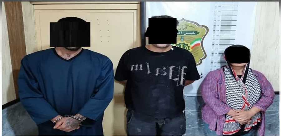انهدام باند سارقان منزل با 40 فقره سرقت در نور