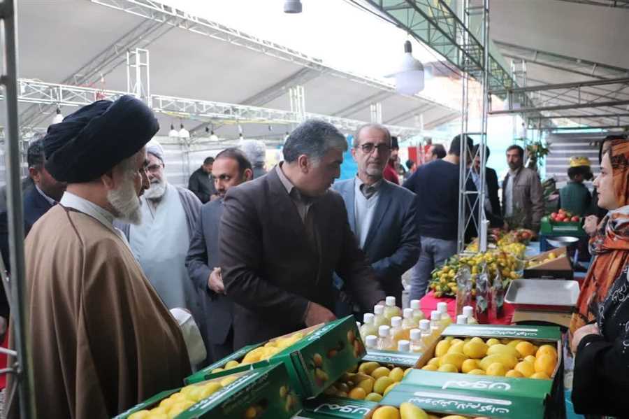 برگزاری نخستین جشنواره لیموترش در مازندران 