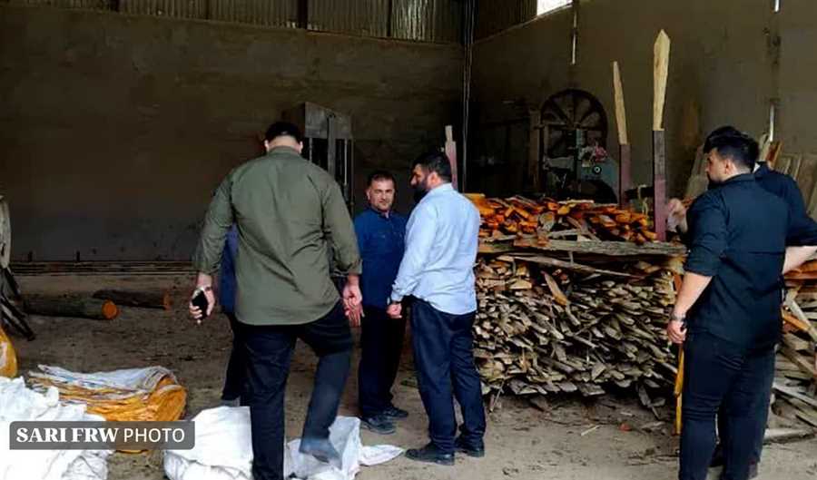 باقری جامخانه: دستگیری دو خریدار چوب‌های قاچاق در مازندران